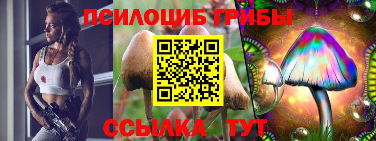Галлюциногенные грибы Cubensis Печора
