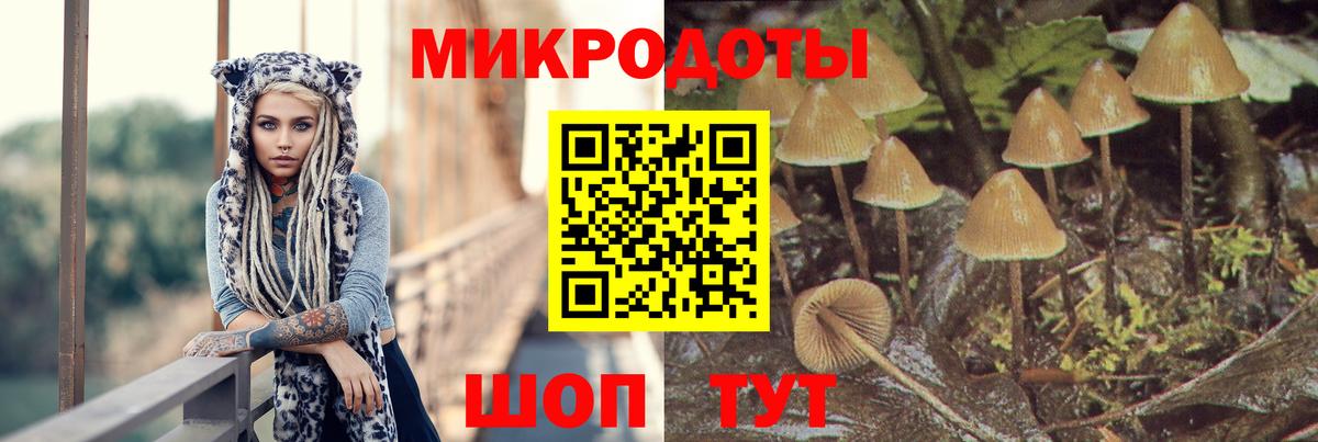 Псилоцибиновые грибы Psilocybine cubensis  Вход с VPN  Печора  Галлюциногенные грибы ЛСД 